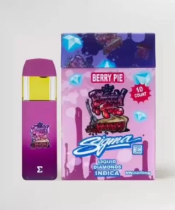 SIGMA BERRY PIE DISPOSABLE