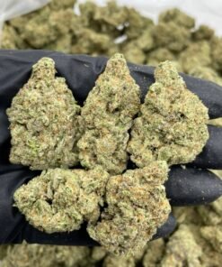 SUPER MAC EXOTIC WEED 